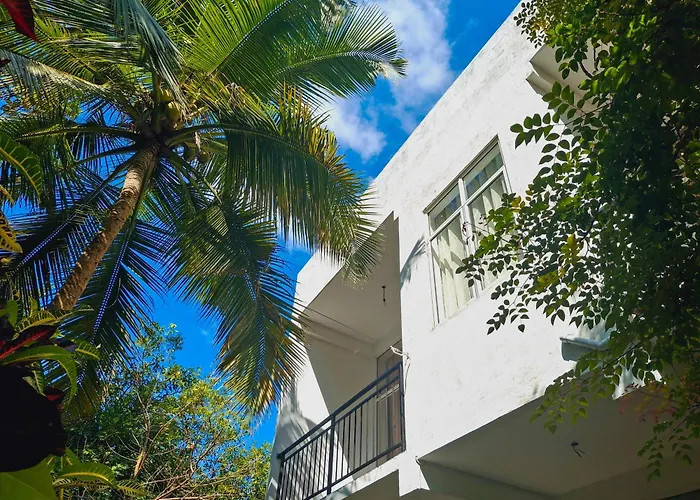 Zeleny Retreat Home Stay