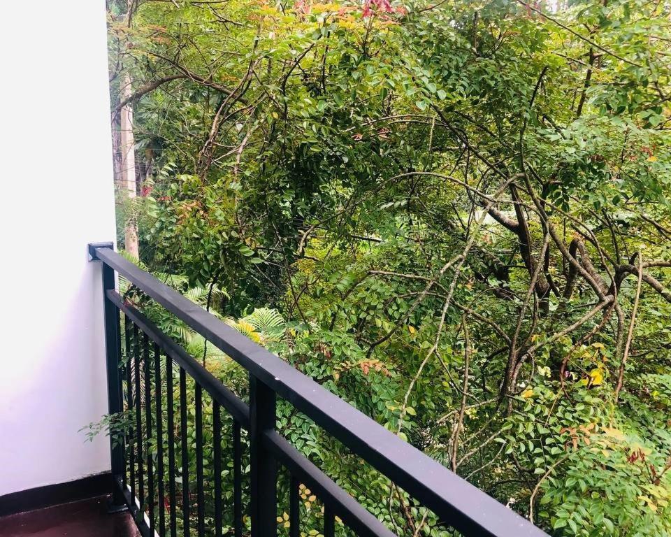 Zeleny Retreat