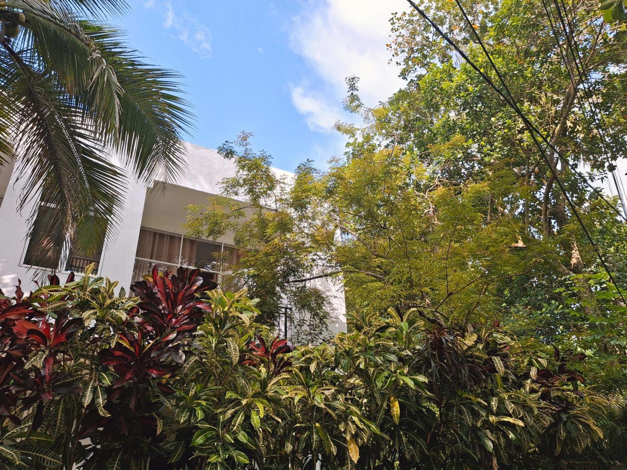 Zeleny Retreat Apartment