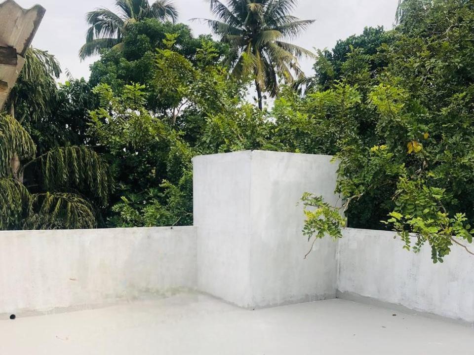 Zeleny Retreat *